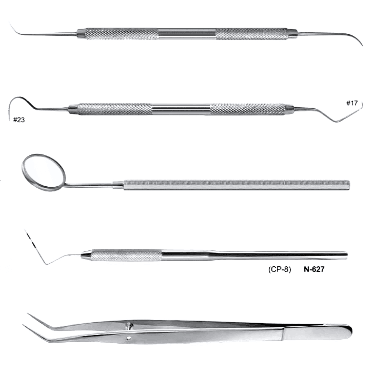 Dental Examination Set (5 Instruments)
