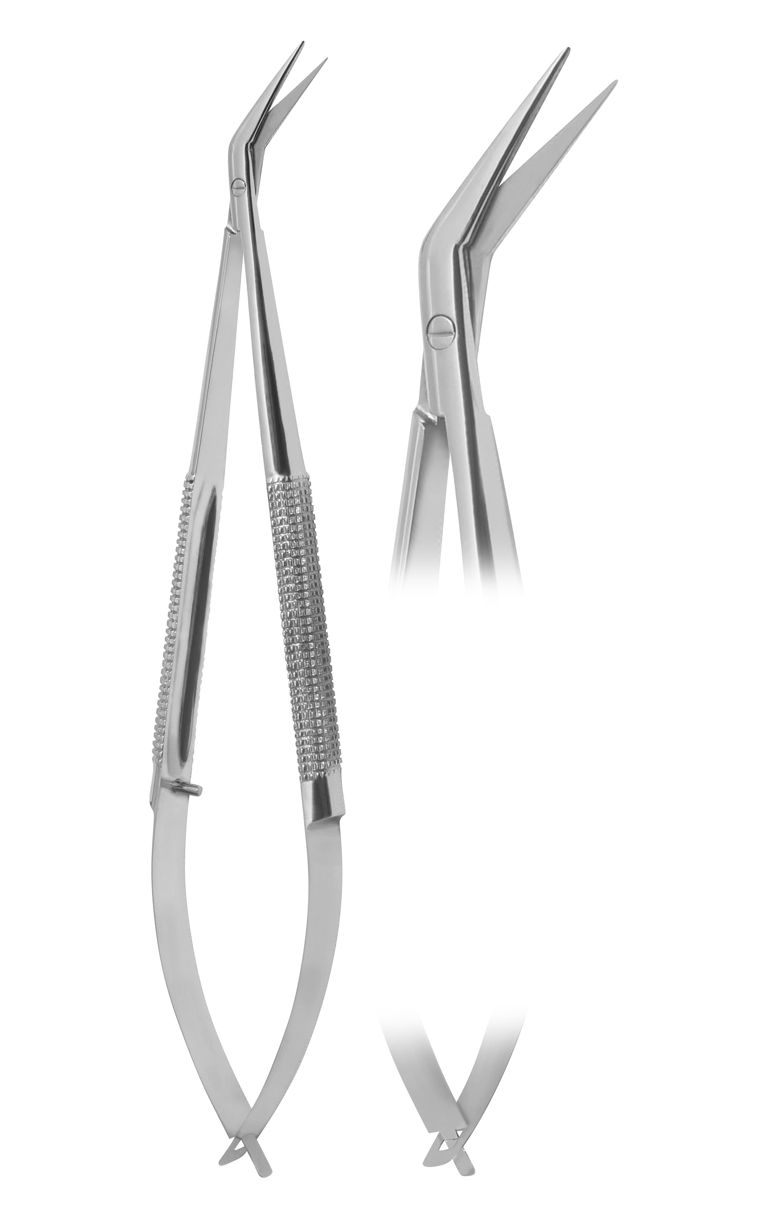 Castroveijo Scissor Curved