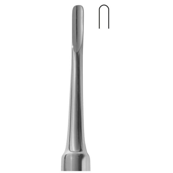 Bein (4mm)