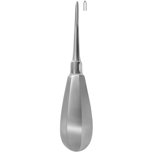 Bein (2mm)