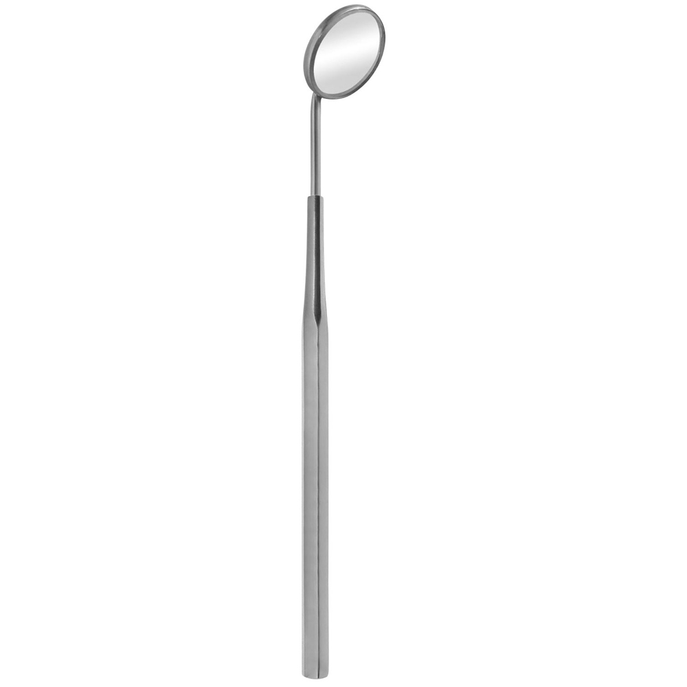Mirror Handle