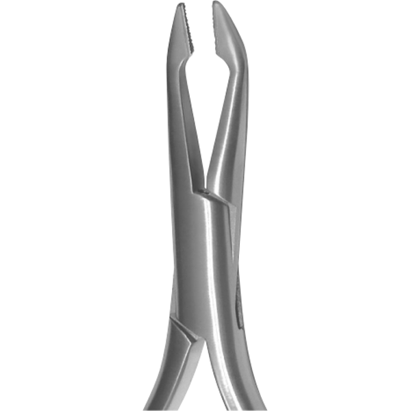 Utility Weingart, Regular With TC Inserts