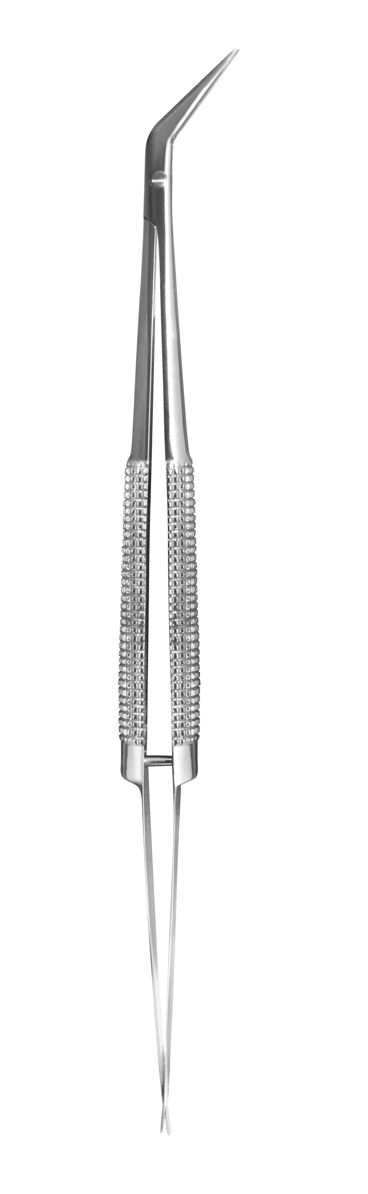 Product Image: Castroveijo Scissor Curved