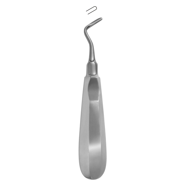 Apical 302 (3 mm)