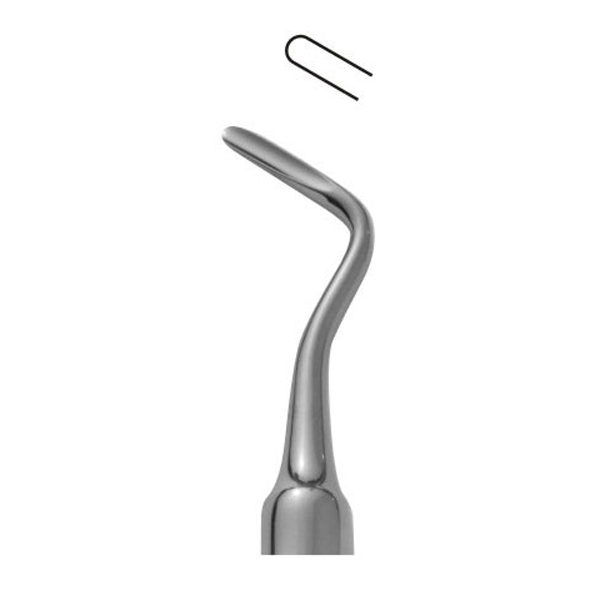 Apical 303 (3 mm)