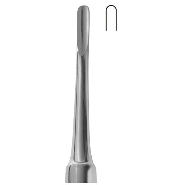 Bein (4mm)