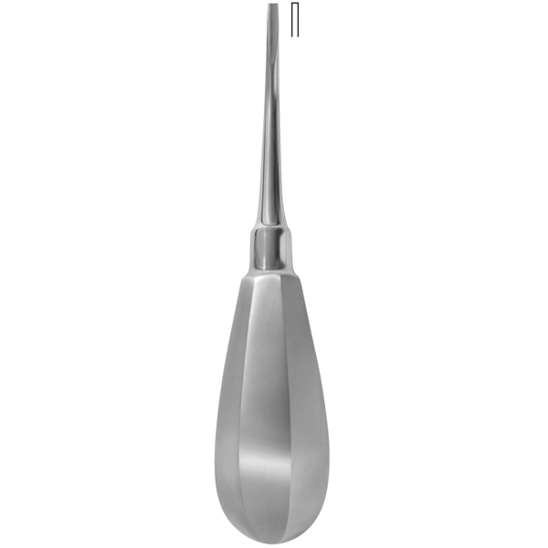 Bein (2mm)